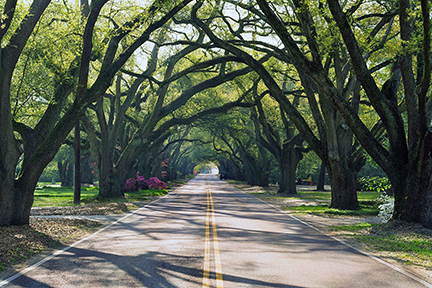 Beautiful Aiken, S.C., continues to rank as one of the best small towns in the South.