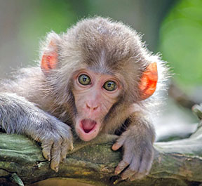 Ambassador from Broward County, Fla.