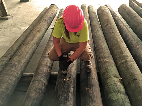 Perma Treat Lumber has the distinction of being the only 100 percent female-owned wood treatment company in the U.S. The owner, Sara Bond, has chosen to build her company in Southern Illinois.